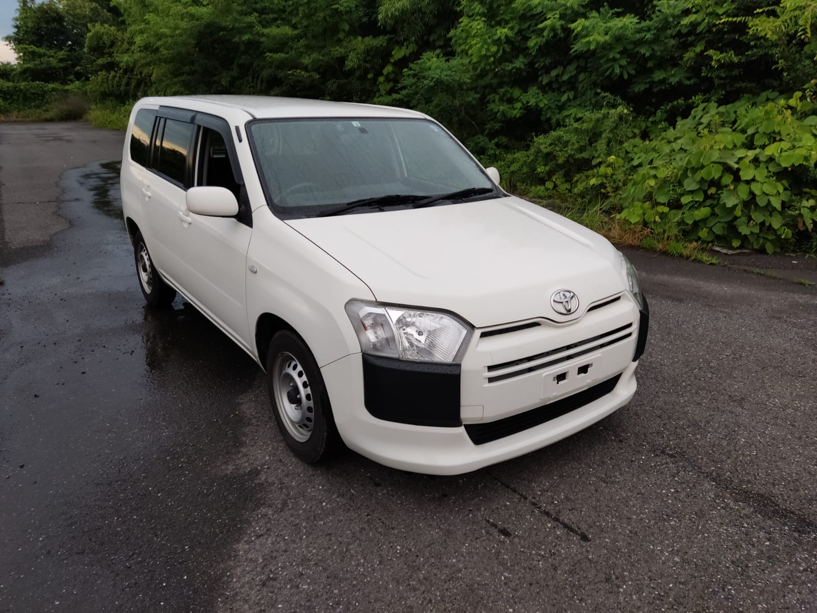 2016 Toyota Succeed Van